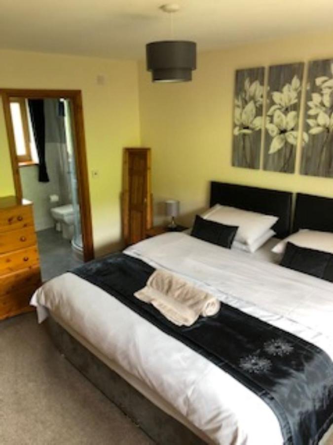 Nant-Y-Glyn Villa Llandrindod Wells Eksteriør billede